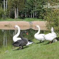 Ruza Family Park and Spa