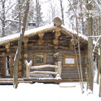 Taiga Dachas 