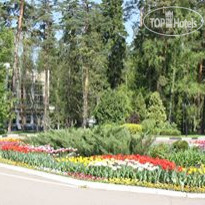 ОК "Сосны"
