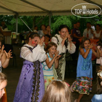ОК "Сосны"