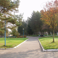 РОП РФ Истра 