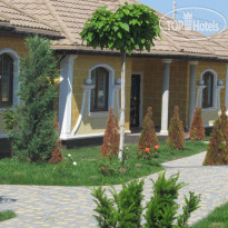 Leo Palace 