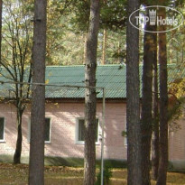 Звездный