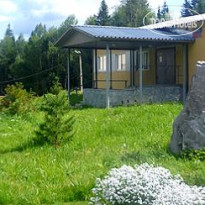 Алит