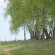 Park-Hotel Derevnya Lobanovo 