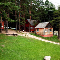 Гнездо