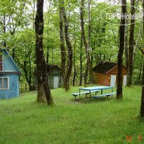 Золотой Якорь