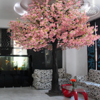 Laza Hall