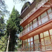 Грин Клаб (Green Club) 