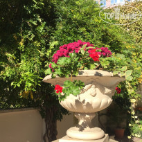 Гостевой дом Грейс Наири 