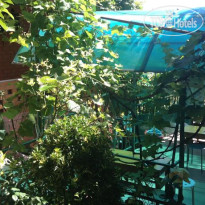 Tat'yanin Day B&B 
