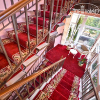 Катран Общий вид лестницы