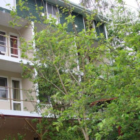 Дубрава Гостевой Дом 