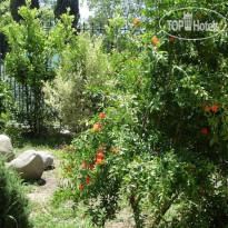 Миллениум (закрыт) 