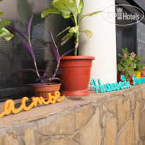 Хостел Инжир 