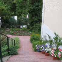 Золотая рыбка