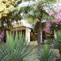 Sochi Hotel 