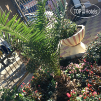 Отель Надежда 