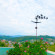 Green Hotel 