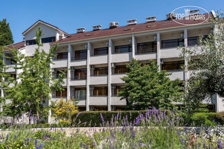 Hotel photo Пансионат Сокол 3*