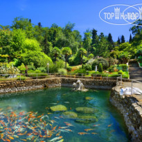 Magadan Resort Карпы Кои и гамбузии