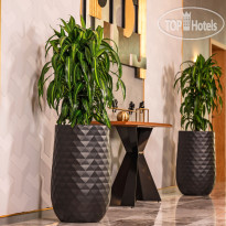 Wind Rose Hotel