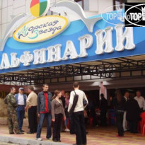 Морская звезда