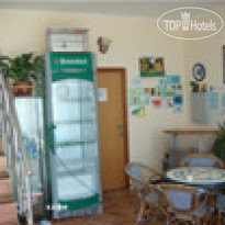 Эллинг Дельфин 