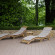 SPATIUM Wellness Center 