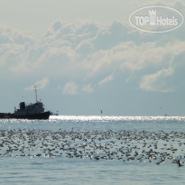 Burgas