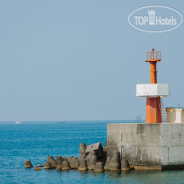 Swissotel Resort Сочи Камелия 