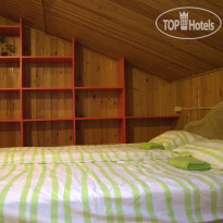 Веселый Жираф 