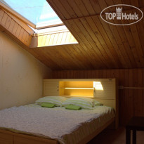 Веселый Жираф 