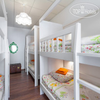 Друзья на Литейном 