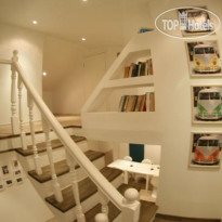 Baby Lemonade Hostel 