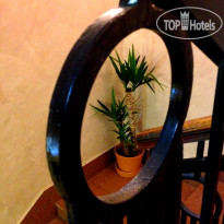 Garden Hotel 