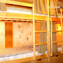 Мартовский Заяц 