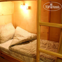 Мартовский Заяц 