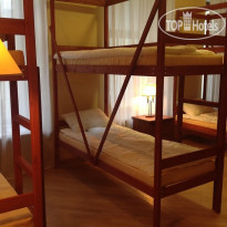 Крылья на Невском 