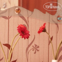 Хостел Питер 