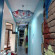 Red House Hostel 