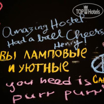All You Need Is Hostel