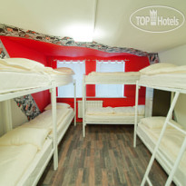 Cinema Hostel
