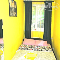 На берегах Невы 