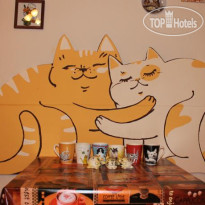 Кот На Крыше