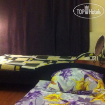 Zebra Hostel