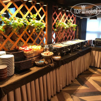 Catherine Art Hotel (Катарина Арт Отель) 