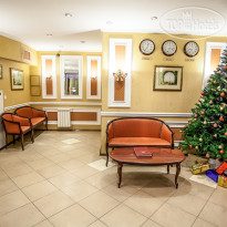 Астерия Ресепшен