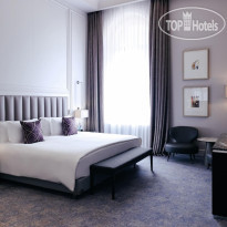 Cosmos Selection Saint-Petersburg Italyanskaya 