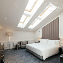 Cosmos Selection Saint-Petersburg Italyanskaya 